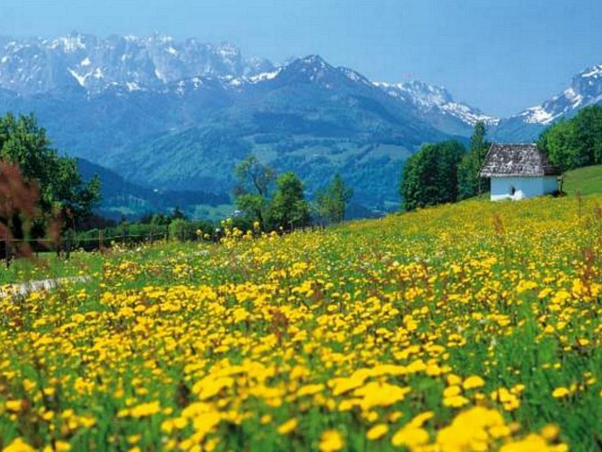 Gaestehaus Flora ไรท์อิมวิงเคอ ภายนอก รูปภาพ